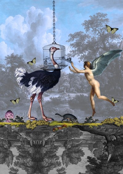 Sueño surrealista del ángel avestruz de Pascal Bouchet-Spiegel