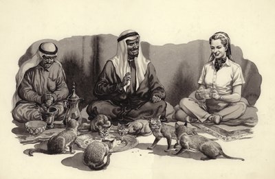 Un hombre árabe da de comer a sus gatos (gouache sobre papel) de Pat (1907-95) Nicolle