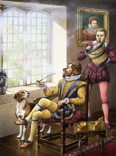 ¿Quién arrojó agua sobre Sir Walter Raleigh de Pat (1907-95) Nicolle