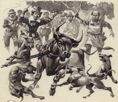 Bull baiting (gouache sobre papel) de Pat (1907-95) Nicolle