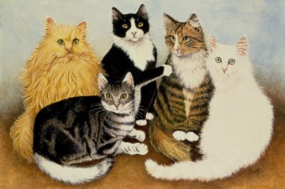 Cuna de gato de Pat Scott