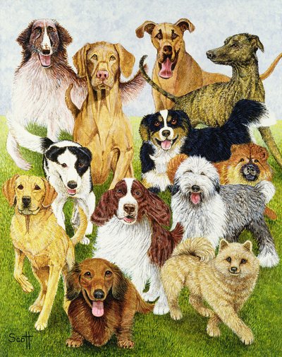 Dog Days (óleo sobre lienzo) de Pat Scott