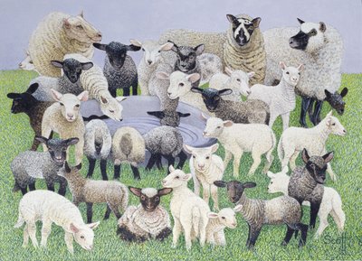 Feeling Sheepish (óleo sobre lienzo) de Pat Scott