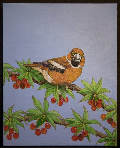 Picogordo, 2016 de Pat Scott