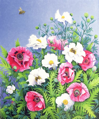 Honey Bee, Abeja de la miel (óleo sobre lienzo) de Pat Scott