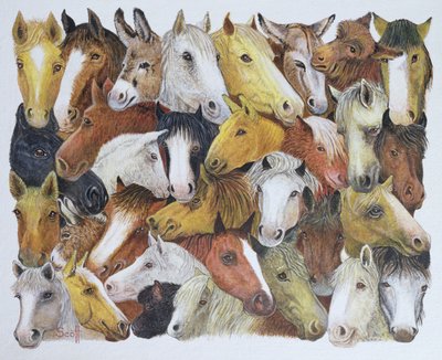 Caballos Caballos (óleo sobre lienzo) de Pat Scott