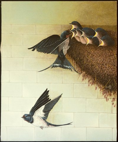 Bocas hambrientas, 2011 (acrílico sobre percal) de Pat Scott