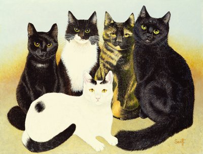 Los gatos de la Srta. Cox de Pat Scott