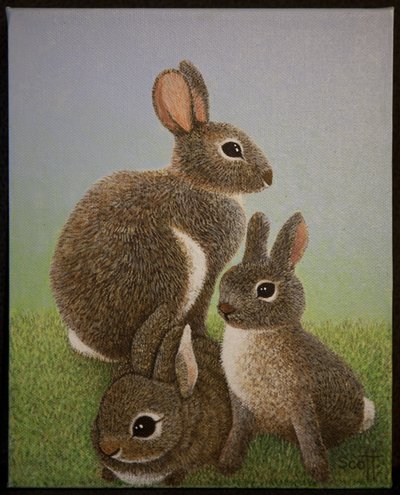 Familia Rabbit, 2016 de Pat Scott