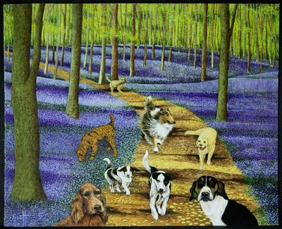 El paseo matinal de Pat Scott