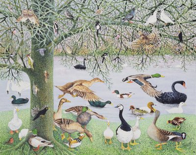 The Odd Duck (acrílico sobre lienzo) de Pat Scott