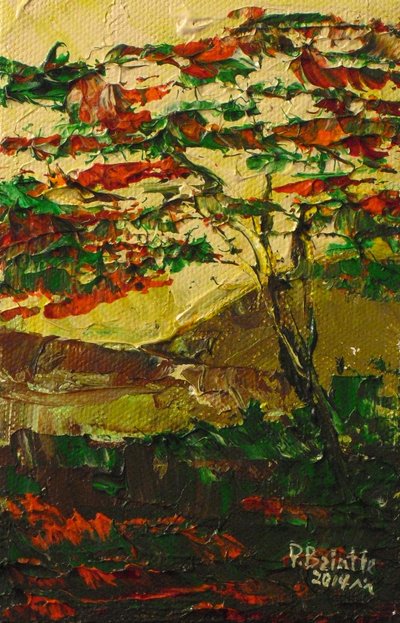Flamboyán en flor, 2014 de Patricia Brintle