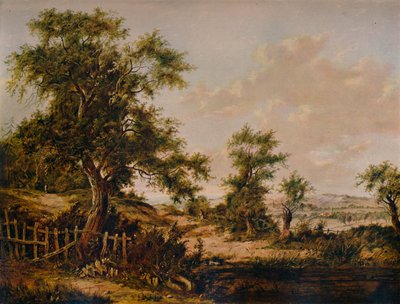 Paisaje, con piscina y árbol en primer plano, 1828 de Patrick Nasmyth