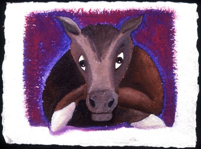 Horóscopo chino: el signo del caballo. de Patrizia La Porta