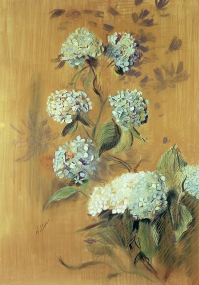 Hortensias de Paul Cesar Helleu