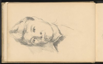 Madame Cézanne de Paul Cézanne