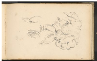 Peonías de Paul Cézanne