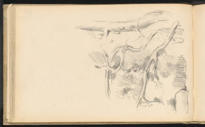Pino de Paul Cézanne