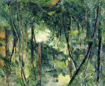 Sotobosque, c.1885 de Paul Cézanne