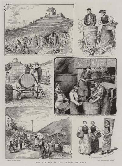 La vendimia en el cantón de Vaud de Paul Destez