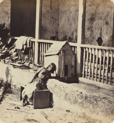 Chien de Garvel (Martinica) de Paul Emile Miot