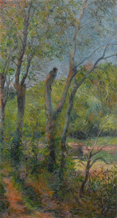 francés:  Les Saules Sauces de Paul Gauguin