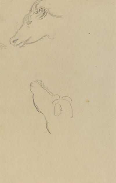 Cabeza de una vaca de Paul Gauguin