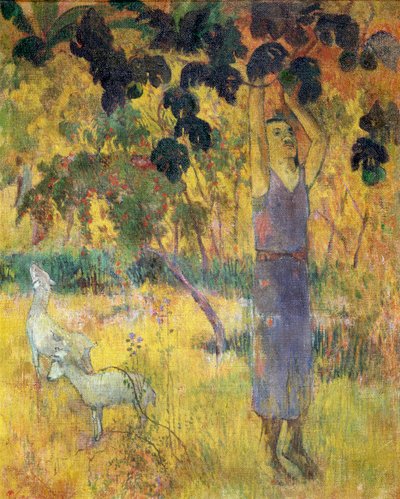 Hombre recogiendo fruta de un árbol de Paul Gauguin