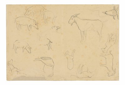Bocetos de varios animales y cabeza (anverso), Bocetos de cabeza, figura de perfil, detalles anatómicos y animales (reverso) de Paul Gauguin