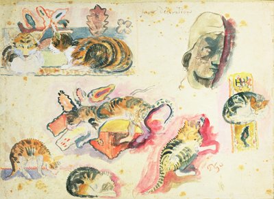 Estudio de Gatos y una Cabeza de Paul Gauguin