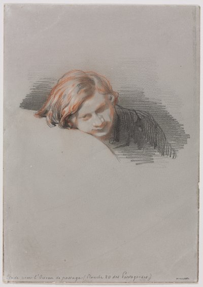 Cabeza de joven (Estudio para L