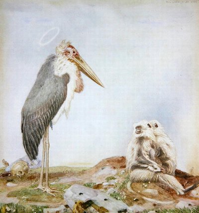 Holy Marabou (acuarela y lápiz sobre papel) de Paul Grabwinkler