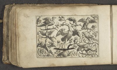 Grulla y otras doce aves Pájaros (título de la serie) de Paul Göttich