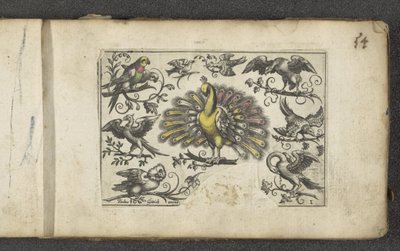 pavo real y otras aves Pájaros (título de la serie) de Paul Göttich