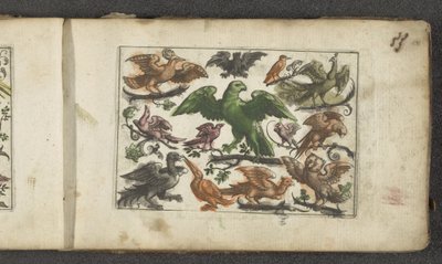 Ave rapaz, otras once aves y un murciélago Pájaros (título de la serie) de Paul Göttich