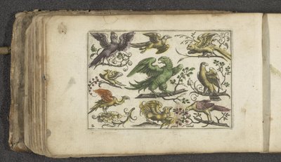 Ave de rapiña y otras diez aves Pájaros (título de la serie) de Paul Göttich