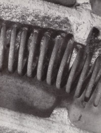 Filamento de un fuego eléctrico (foto b/n) de Paul Henning