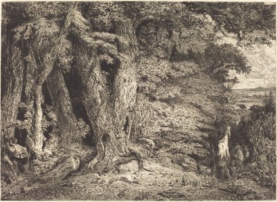 Entrada al Bosque de Paul Huet