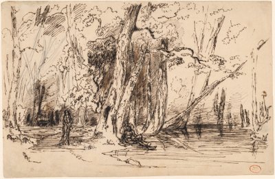 Inundación en el bosque de la Isla Seguin de Paul Huet