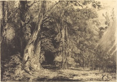 Inundación en el bosque de la Isla Seguin de Paul Huet