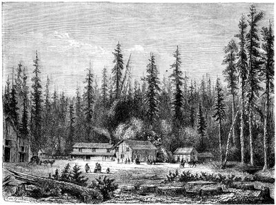 Bosque de secuoyas gigantes, California, siglo XIX de Paul Huet