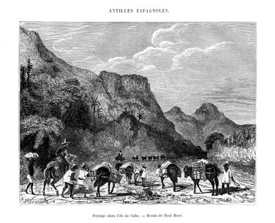 Paisaje en la isla de Cuba de Paul Huet