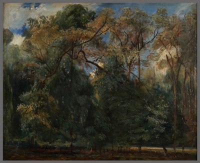 Los olmos de Saint-Cloud de Paul Huet
