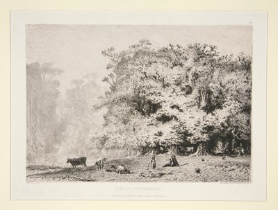 Bosques cerca de Fontainebleau de Paul Huet