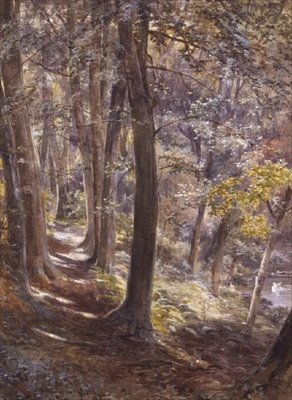 Un Claro en el Bosque de Paul Jacob Naftel