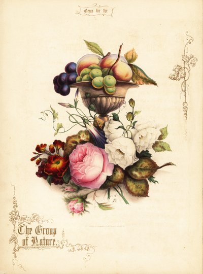 Ramo de rosas con uvas y melocotones en jarrón. de Paul Jerrard