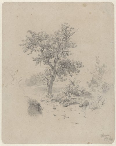 Paisaje con roble de Paul Joseph Constantin Gabriel