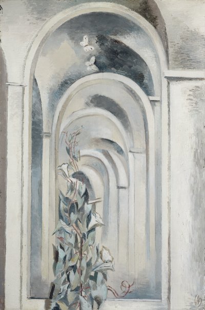 Convolvulus de Paul Nash