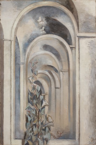 Convolvulus de Paul Nash