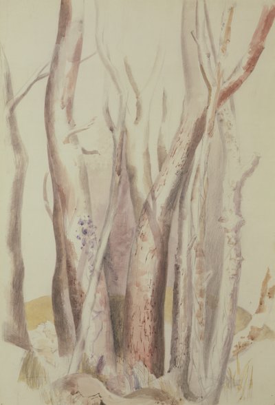 Estudio de un paisaje arbolado de Paul Nash